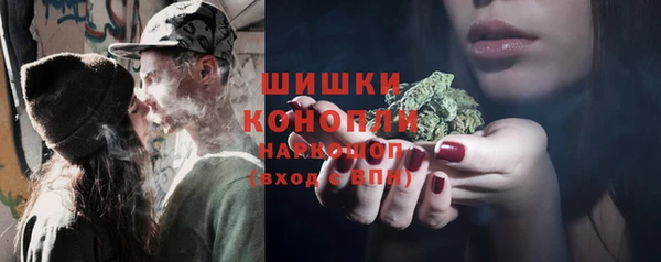 2c-b Горнозаводск