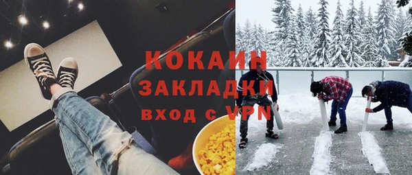 дживик Шали