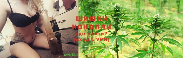 трава Кизел